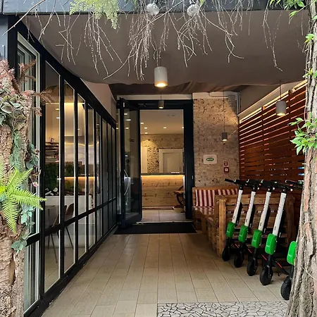 Neps 利多迪迪耶索洛